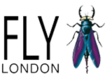 Fly London